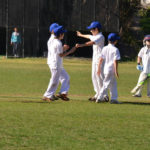 St Ives Wahroonga CC Juniors