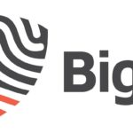 Horizontal-BigID Logo